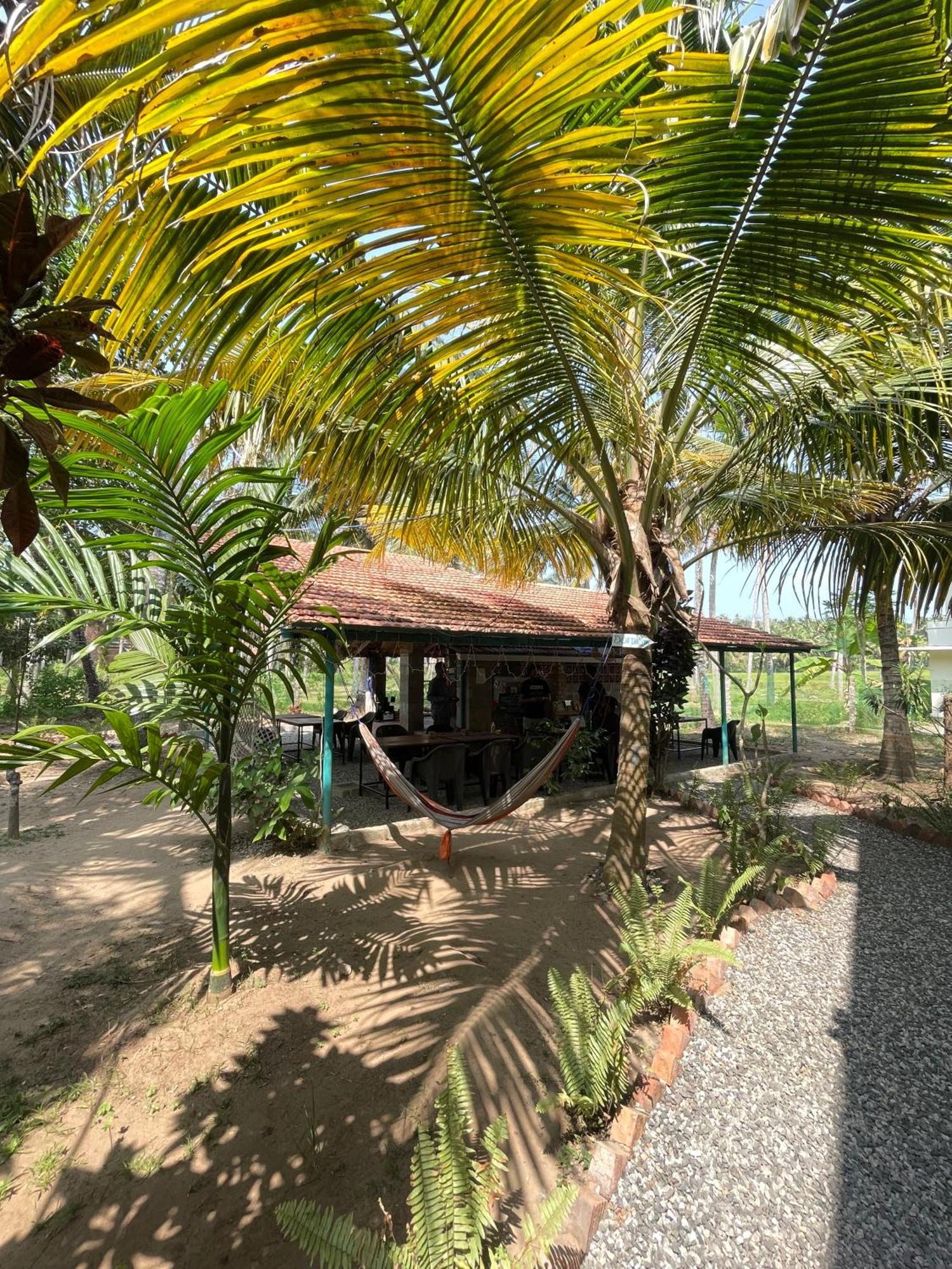 Cliff & Coral Hostel Varkala Buitenkant foto