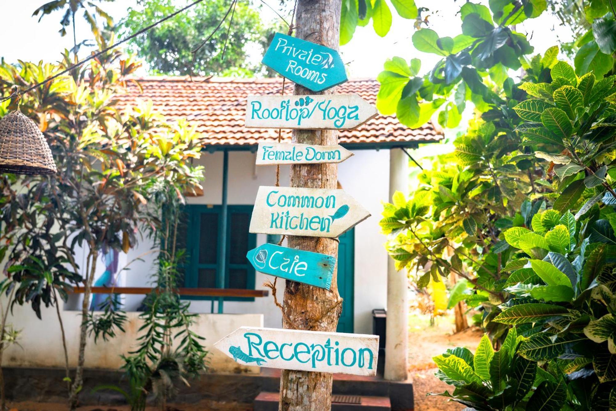 Cliff & Coral Hostel Varkala Buitenkant foto